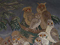 Chouettes et hiboux laine